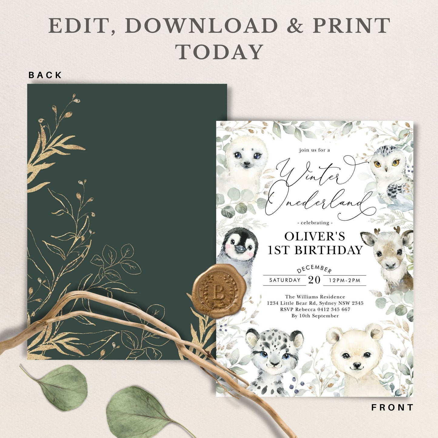 Winter Birthday Invitation