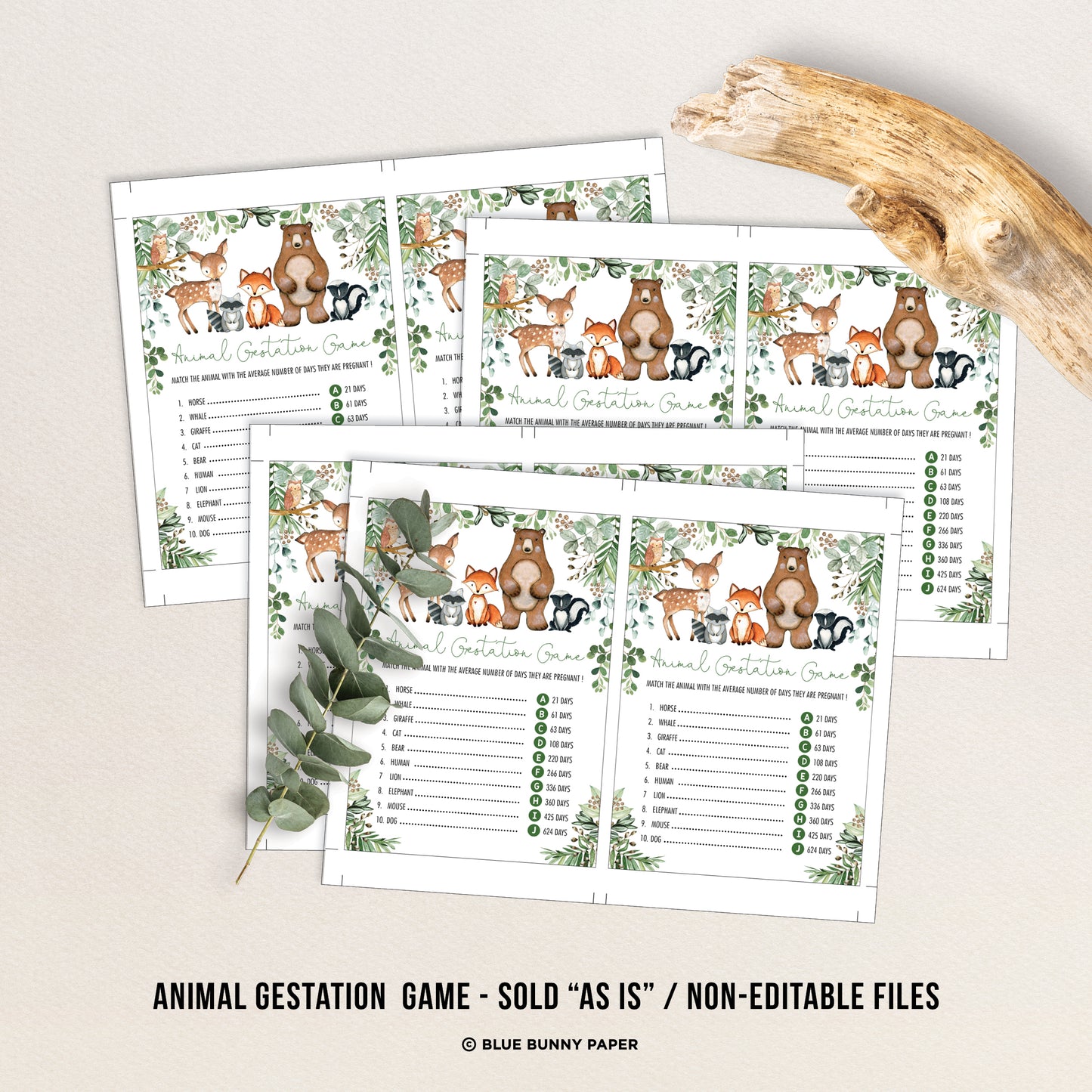 Animal Gestation Game
