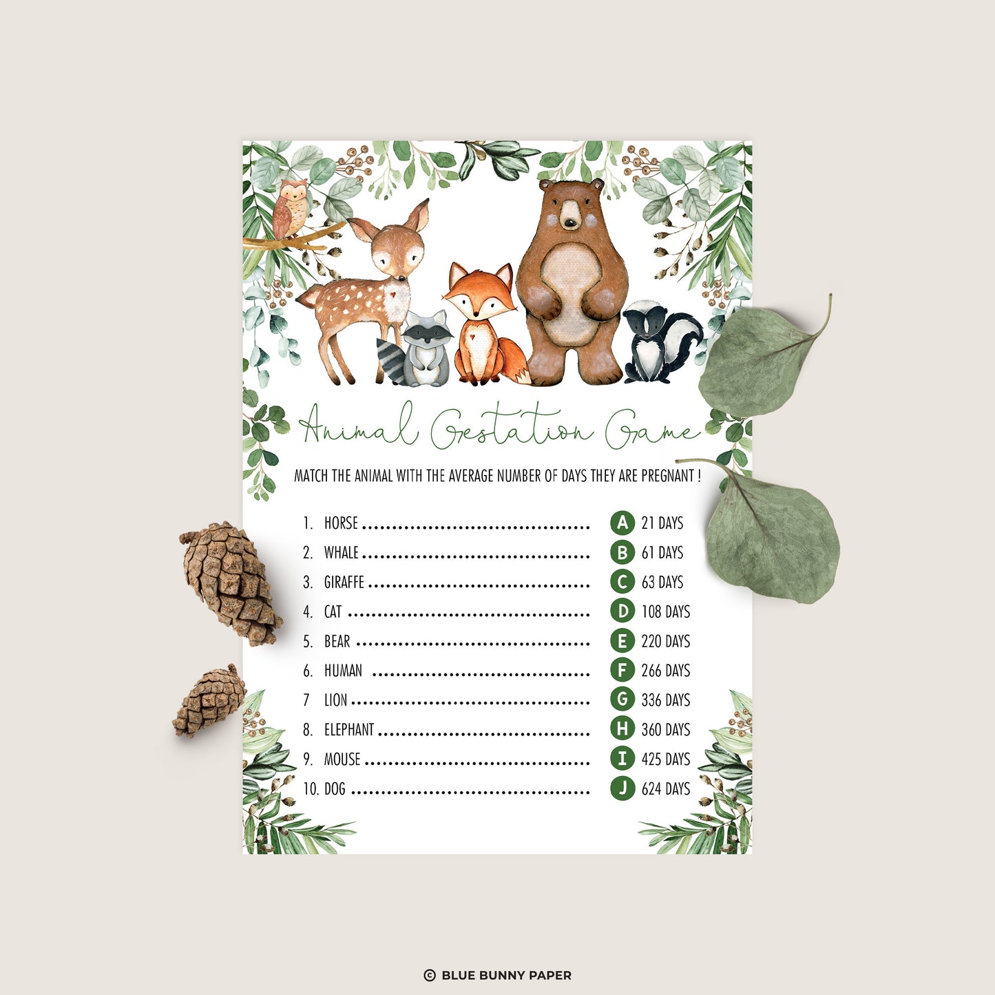 Animal Gestation Game