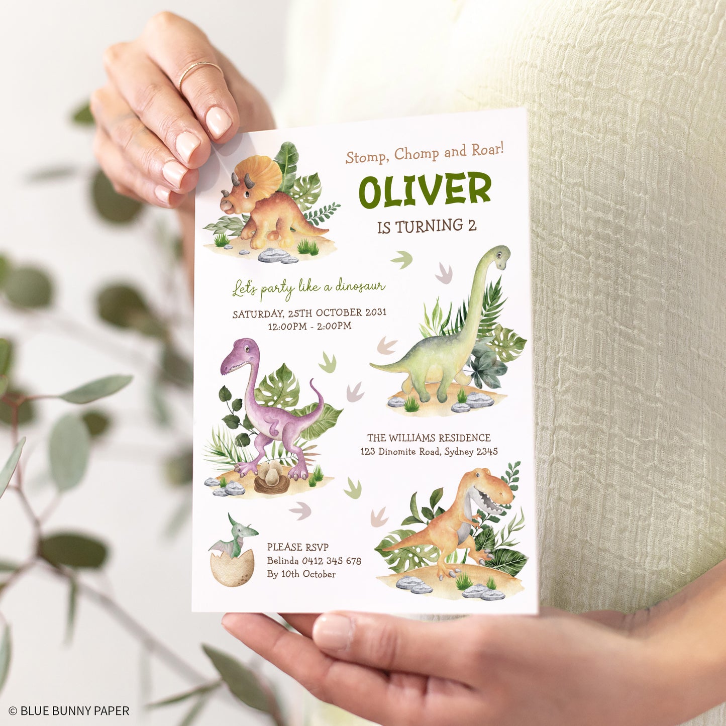 Dinosaur Birthday Invitations