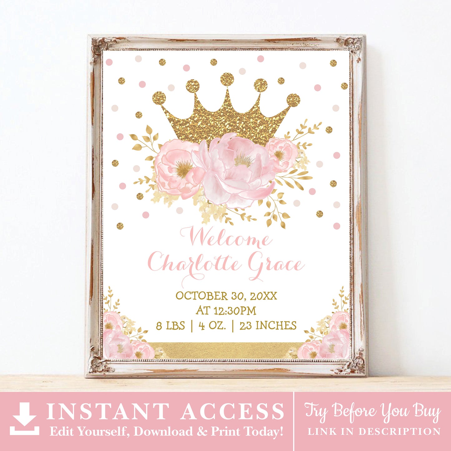 Princess Birth Stats Sign