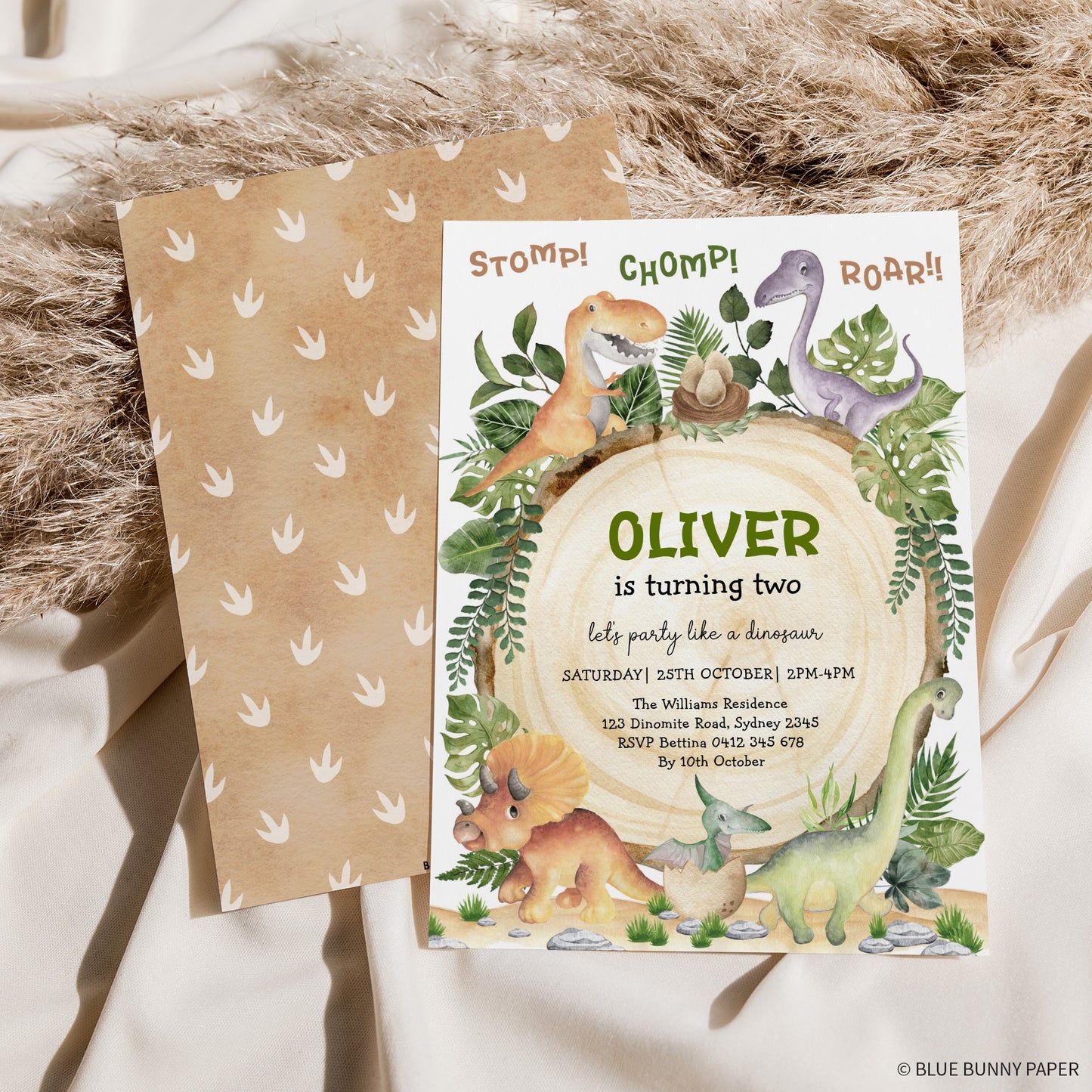 Dinosaur First Birthday Invitation with backside
