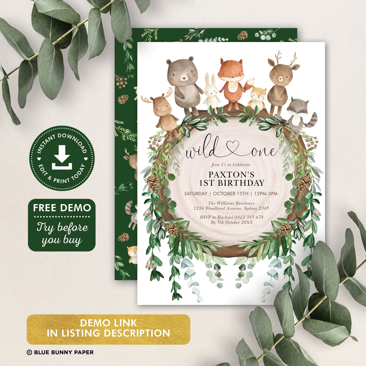 Birthday Invitation