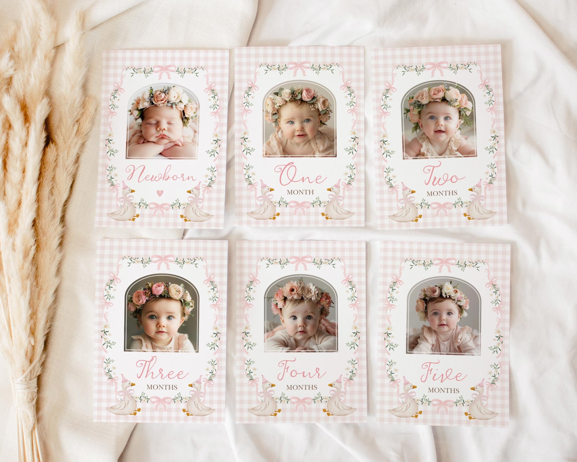 One Silly Goose First Birthday Photo Banner | Editable Corjl Template