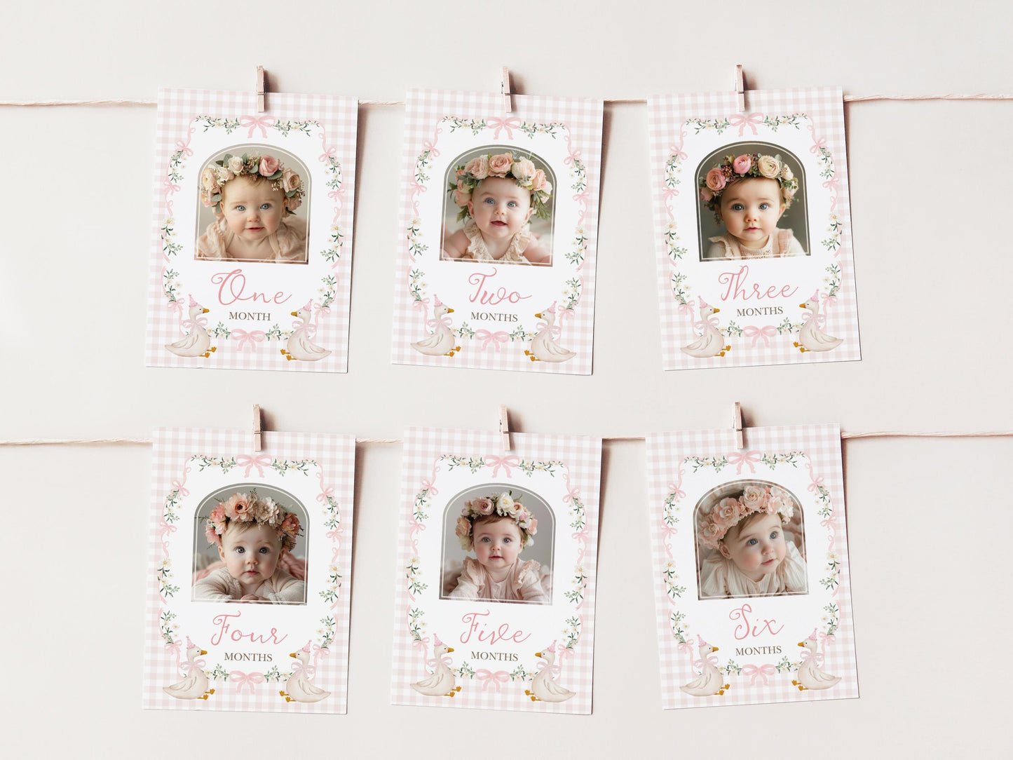 One Silly Goose First Birthday Photo Banner | Editable Corjl Template