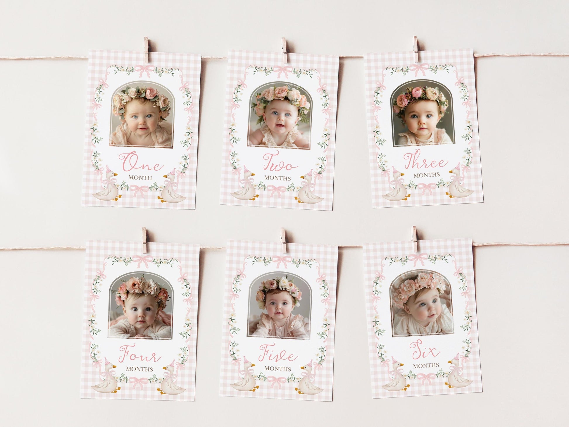 One Silly Goose First Birthday Photo Banner | Editable Corjl Template