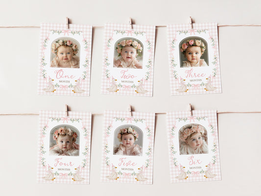 One Silly Goose First Birthday Photo Banner | Editable Corjl Template