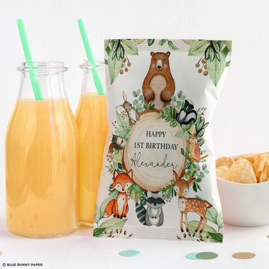 Chip Bag