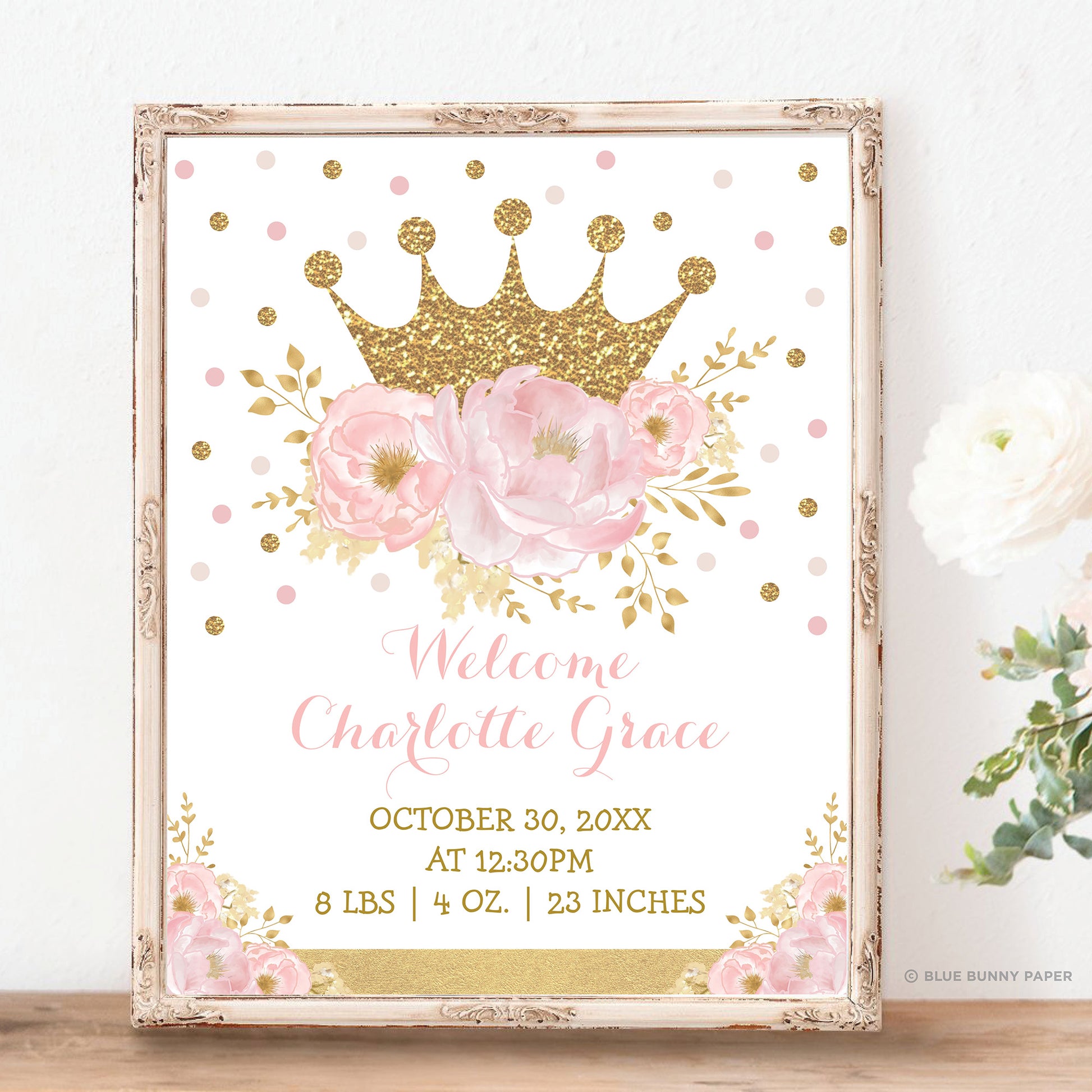 Princess Birth Stats Sign