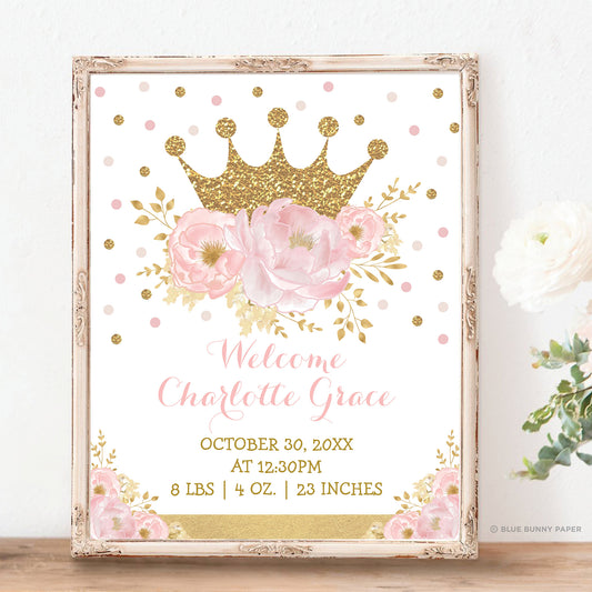 Princess Birth Stats Sign