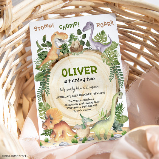Dinosaur First Birthday Invitation