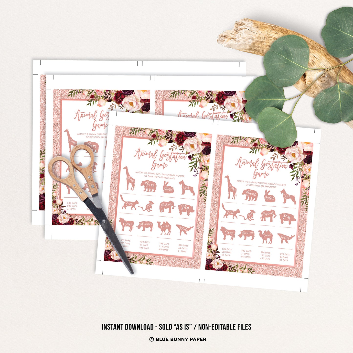 Animal Gestation Game
