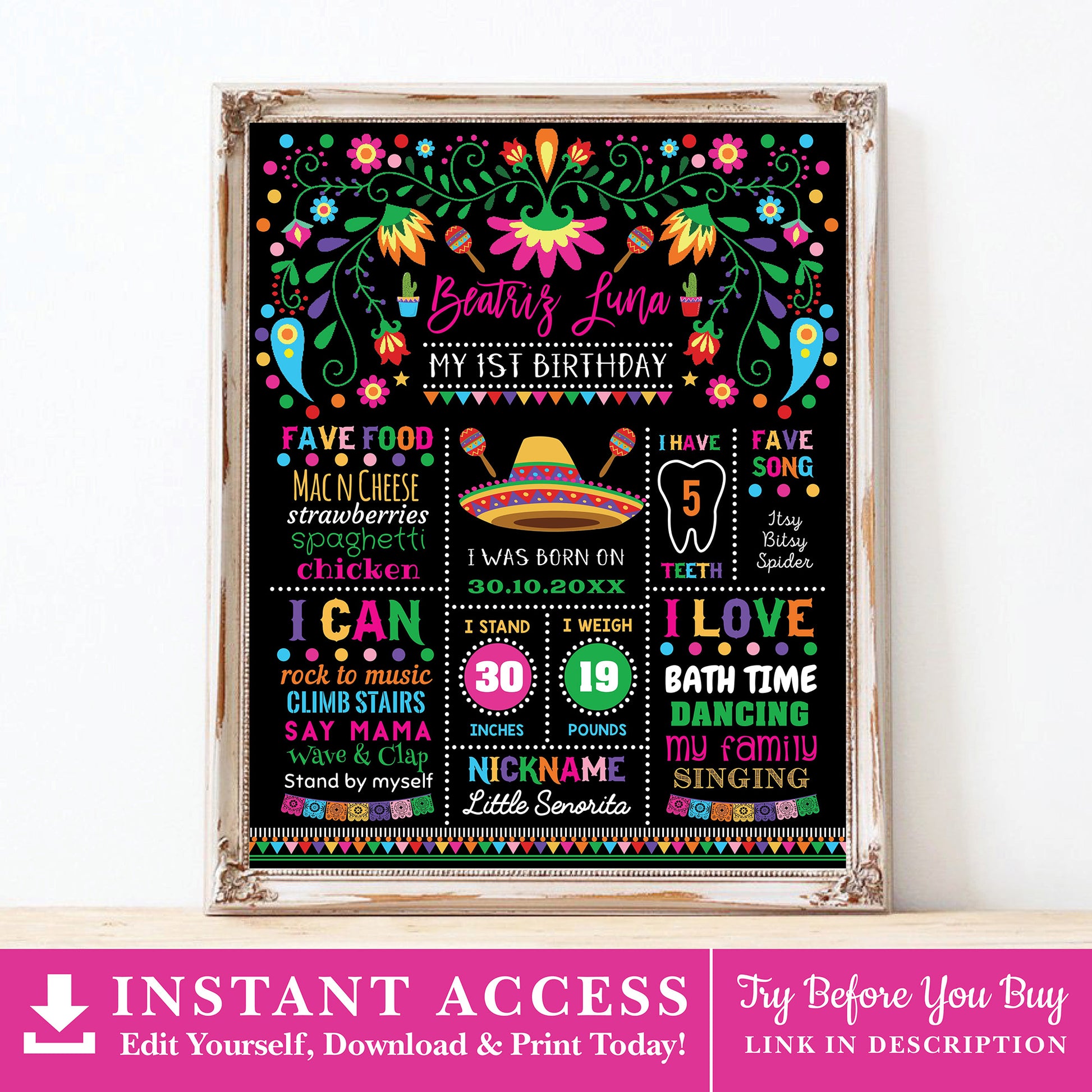 Mexican Fiesta Birthday Milestone Poster