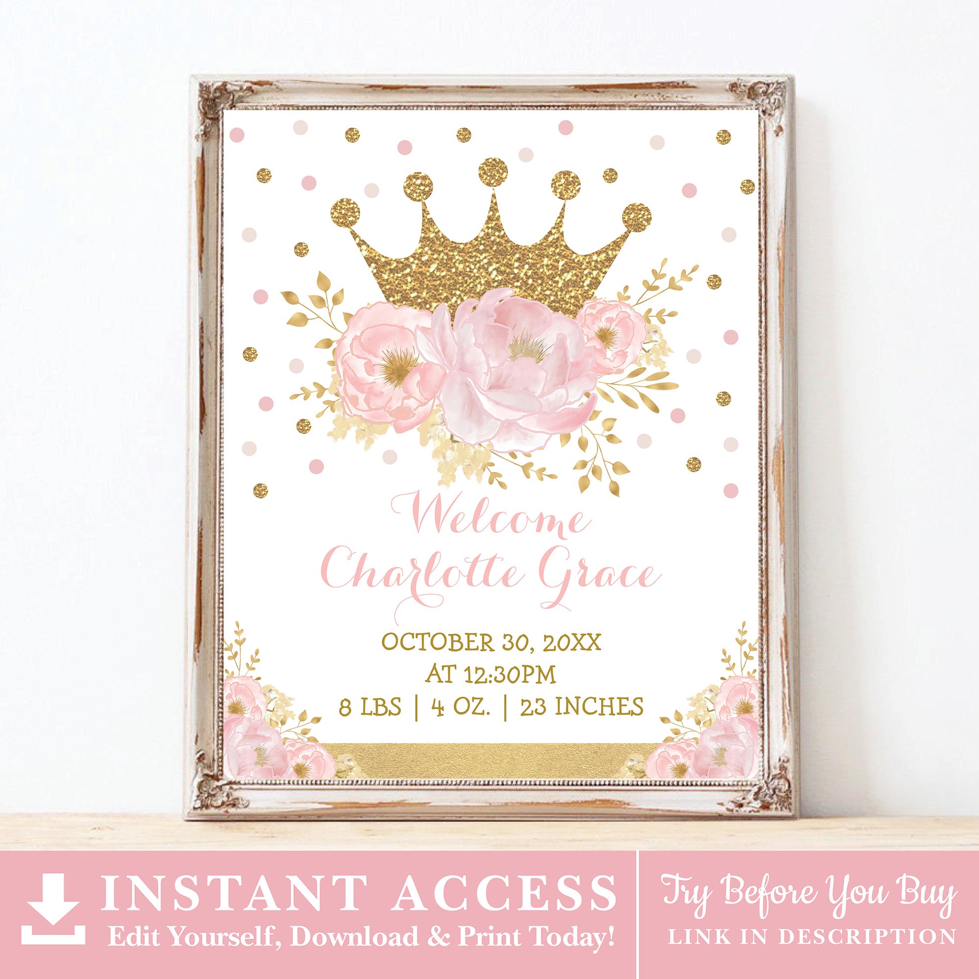 Princess Birth Stats Sign