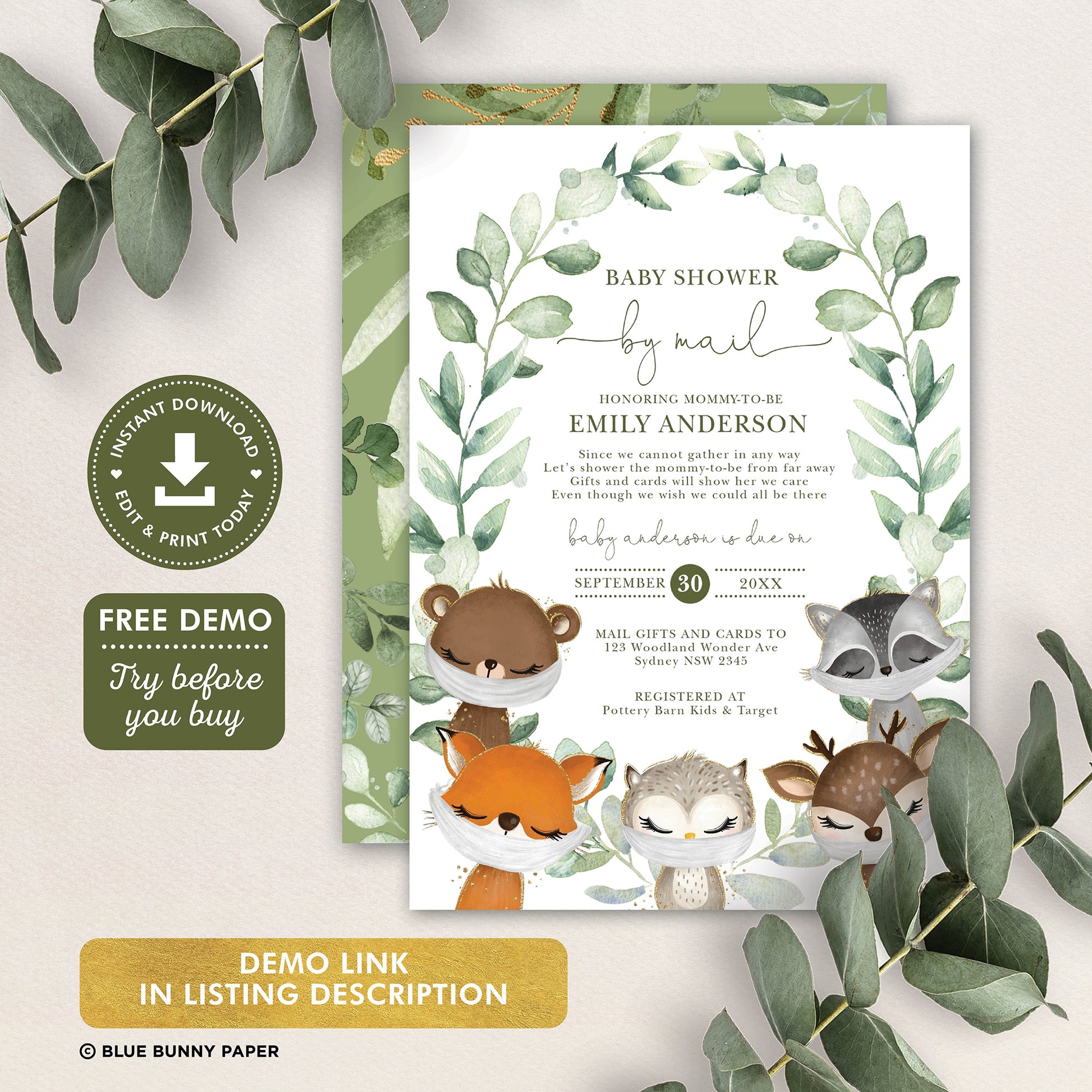 Baby Shower by Mail Invite