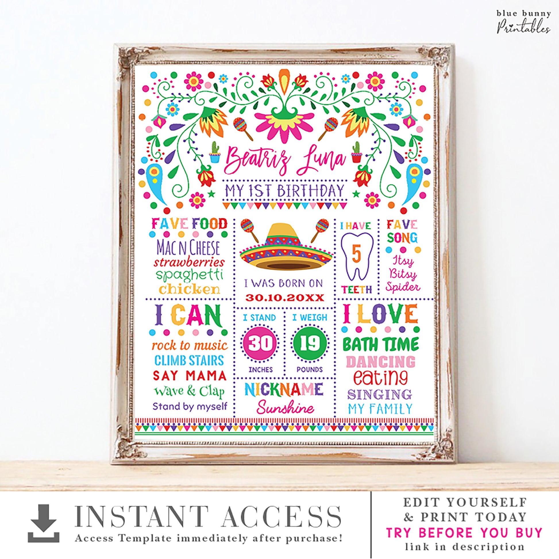 Mexican Fiesta Birthday Milestone Poster